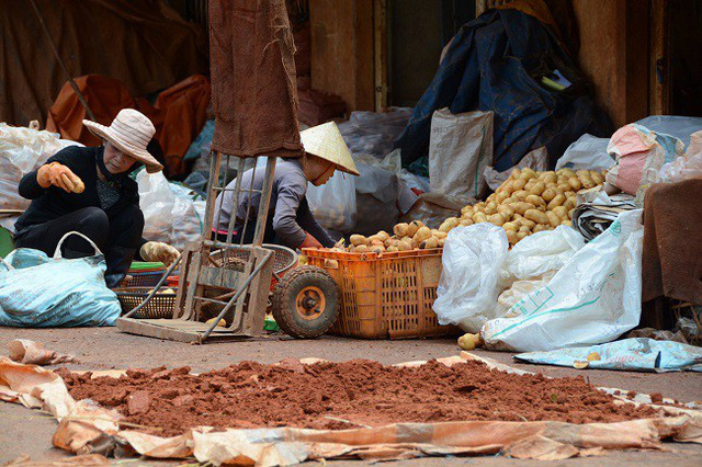 Đà Lạt 'điểm mặt chỉ tên' 17 cơ sở kinh doanh nông sản Trung Quốc